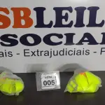 LOTE 005 - 02 CINTAS DE SEGURANÇA.  (NO ESTADO) ATENÇÃO! FAZER A VISITAÇÃO ANTES DE ARREMATAR, NÃO SABEMOS SE FUNCIONA. LEILÃO NÃO TEM GARANTIA E NEM DEVOLUÇÃO, SUJEITO A POSSÍVEIS AVARIAS VISÍVEIS/OCULTAS E/OU AUSÊNCIA DE COMPONENTES.