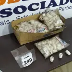 LOTE 249 - 01 LOTE COM GRANDE QUANTIDADE DE NIPLES ROSCAVEL DE MEDIDAS DIVERSAS. (NO ESTADO) ATENÇÃO! FAZER A VISITAÇÃO ANTES DE ARREMATAR, NÃO SABEMOS SE FUNCIONA. LEILÃO NÃO TEM GARANTIA E NEM DEVOLUÇÃO, SUJEITO A POSSÍVEIS AVARIAS VISÍVEIS/OCULTAS E/OU AUSÊNCIA DE COMPONENTES.