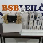 LOTE 255 - 10 CAIXAS DE PASSAGEM DE DRENAGEM VERTICAL. (NO ESTADO) ATENÇÃO! FAZER A VISITAÇÃO ANTES DE ARREMATAR, NÃO SABEMOS SE FUNCIONA. LEILÃO NÃO TEM GARANTIA E NEM DEVOLUÇÃO, SUJEITO A POSSÍVEIS AVARIAS VISÍVEIS/OCULTAS E/OU AUSÊNCIA DE COMPONENTES.