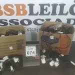LOTE 074 - 01 LOTE COM GRANDES QUANTIDADES DE CABO DVI. (NO ESTADO) ATENÇÃO! FAZER A VISITAÇÃO ANTES DE ARREMATAR, NÃO SABEMOS SE FUNCIONA. LEILÃO NÃO TEM GARANTIA E NEM DEVOLUÇÃO, SUJEITO A POSSÍVEIS AVARIAS VISÍVEIS/OCULTAS E/OU AUSÊNCIA DE COMPONENTES.