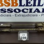 LOTE 239 - 02 BOMBAS DE ÓLEO PRA TAMBOR.  (NO ESTADO) ATENÇÃO! FAZER A VISITAÇÃO ANTES DE ARREMATAR, NÃO SABEMOS SE FUNCIONA. LEILÃO NÃO TEM GARANTIA E NEM DEVOLUÇÃO, SUJEITO A POSSÍVEIS AVARIAS VISÍVEIS/OCULTAS E/OU AUSÊNCIA DE COMPONENTES.