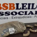 LOTE 275 - 01 LOTE COM VÁRIAS CURVAS 90-40MM MARCA KRONA. (NO ESTADO) ATENÇÃO! FAZER A VISITAÇÃO ANTES DE ARREMATAR, NÃO SABEMOS SE FUNCIONA. LEILÃO NÃO TEM GARANTIA E NEM DEVOLUÇÃO, SUJEITO A POSSÍVEIS AVARIAS VISÍVEIS/OCULTAS E/OU AUSÊNCIA DE COMPONENTES.