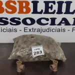 LOTE 283 - 01 LOTE COM GRANDE QUANTIDADE DE TÊ DE REDUÇÃO 40-32MM. (NO ESTADO) ATENÇÃO! FAZER A VISITAÇÃO ANTES DE ARREMATAR, NÃO SABEMOS SE FUNCIONA. LEILÃO NÃO TEM GARANTIA E NEM DEVOLUÇÃO, SUJEITO A POSSÍVEIS AVARIAS VISÍVEIS/OCULTAS E/OU AUSÊNCIA DE COMPONENTES.
