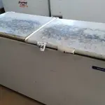 LOTE 364 - 01 FREEZER HORIZONTAL 02 TAMPAS. (NO ESTADO) ATENÇÃO! FAZER A VISITAÇÃO ANTES DE ARREMATAR, NÃO SABEMOS SE FUNCIONA. LEILÃO NÃO TEM GARANTIA E NEM DEVOLUÇÃO, SUJEITO A POSSÍVEIS AVARIAS VISÍVEIS/OCULTAS E/OU AUSÊNCIA DE COMPONENTES.