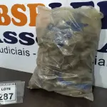 LOTE 287 - 01 LOTE OM GRANDE QUANTIDADE DE JOELHOS DE MEDIDAS VARIADAS. (NO ESTADO) ATENÇÃO! FAZER A VISITAÇÃO ANTES DE ARREMATAR, NÃO SABEMOS SE FUNCIONA. LEILÃO NÃO TEM GARANTIA E NEM DEVOLUÇÃO, SUJEITO A POSSÍVEIS AVARIAS VISÍVEIS/OCULTAS E/OU AUSÊNCIA DE COMPONENTES.