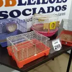 LOTE 269 - 04 GAIOLAS PARA HAMSTER. (NO ESTADO) ATENÇÃO! FAZER A VISITAÇÃO ANTES DE ARREMATAR, NÃO SABEMOS SE FUNCIONA, LEILÃO NÃO TEM GARANTIA E NEM DEVOLUÇÃO, SUJEITO A POSSÍVEIS AVARIAS VISÍVEIS/OCULTAS E/OU AUSÊNCIA DE COMPONENTES.