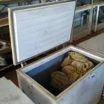 LOTE 369 - 01 FREEZER HORIZONTAL 01 TAMPA. (NO ESTADO) ATENÇÃO! FAZER A VISITAÇÃO ANTES DE ARREMATAR, NÃO SABEMOS SE FUNCIONA. LEILÃO NÃO TEM GARANTIA E NEM DEVOLUÇÃO, SUJEITO A POSSÍVEIS AVARIAS VISÍVEIS/OCULTAS E/OU AUSÊNCIA DE COMPONENTES.
