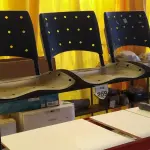 LOTE 259 - 01 LONGARINA COM 03 LUGARES. (NO ESTADO) ATENÇÃO! FAZER A VISITAÇÃO ANTES DE ARREMATAR, NÃO SABEMOS SE FUNCIONA. LEILÃO NÃO TEM GARANTIA E NEM DEVOLUÇÃO, SUJEITO A POSSÍVEIS AVARIAS VISÍVEIS/OCULTAS E/OU AUSÊNCIA DE COMPONENTES.
