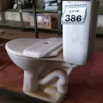 LOTE 386 - 01 VASO SANITÁRIOCOM ASSENTO E CAIXA ACOPLADA. (NO ESTADO) ATENÇÃO! FAZER A VISITAÇÃO ANTES DE ARREMATAR, NÃO SABEMOS SE FUNCIONA. LEILÃO NÃO TEM GARANTIA E NEM DEVOLUÇÃO, SUJEITO A POSSÍVEIS AVARIAS VISÍVEIS/OCULTAS E/OU AUSÊNCIA DE COMPONENTES.