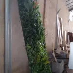 LOTE 427 - 01 PAINEL DECORADO COM PLANTAS ARTIFICIAIS