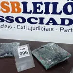 LOTE 096 - 02 PLACAS MÃE. (NO ESTADO) ATENÇÃO! FAZER A VISITAÇÃO ANTES DE ARREMATAR, NÃO SABEMOS SE FUNCIONA, LEILÃO NÃO TEM GARANTIA E NEM DEVOLUÇÃO, SUJEITO A POSSÍVEIS AVARIAS VISÍVEIS/OCULTAS E/OU AUSÊNCIA DE COMPONENTES.