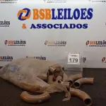 LOTE 179 - 01 LOTE COM VÁRIAS CURVAS 90-40MM MARCA KRONA. (NO ESTADO) ATENÇÃO! FAZER A VISITAÇÃO ANTES DE ARREMATAR, NÃO SABEMOS SE FUNCIONA. LEILÃO NÃO TEM GARANTIA E NEM DEVOLUÇÃO, SUJEITO A POSSÍVEIS AVARIAS VISÍVEIS/OCULTAS E/OU AUSÊNCIA DE COMPONENTES.