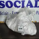 LOTE 238 - 01 SACO COM CORTINAS.  (NO ESTADO EM QUE SE ENCONTRA. SUJEITO A AVARIAS OCULTAS/VISÍVEIS.)
