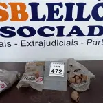 LOTE 472 - 01 LOTE COM VÁRIOS JOELHOS E LUVAS DE CORRER. (NO ESTADO) ATENÇÃO! FAZER A VISITAÇÃO ANTES DE ARREMATAR, NÃO SABEMOS SE FUNCIONA, LEILÃO NÃO TEM GARANTIA E NEM DEVOLUÇÃO, SUJEITO A POSSÍVEIS AVARIAS VISÍVEIS/OCULTAS E/OU AUSÊNCIA DE COMPONENTES.