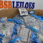LOTE 387 - 01 LOTE COM GRANDE QUANTIDADE DE CONJUNTO DE NEBULIZAÇÃO. (NO ESTADO) ATENÇÃO! FAZER A VISITAÇÃO ANTES DE ARREMATAR, NÃO SABEMOS SE FUNCIONA. LEILÃO NÃO TEM GARANTIA E NEM DEVOLUÇÃO, SUJEITO A POSSÍVEIS AVARIAS VISÍVEIS/OCULTAS E/OU AUSÊNCIA DE COMPONENTES.