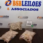 LOTE 308 - 01 LOTE COM GRANDE QUANTIDADE DE NIPLE DE REDUÇÃO DE MEDIDAS DIVERSAS. (NO ESTADO) ATENÇÃO! FAZER A VISITAÇÃO ANTES DE ARREMATAR, NÃO SABEMOS SE FUNCIONA, LEILÃO NÃO TEM GARANTIA E NEM DEVOLUÇÃO, SUJEITO A POSSÍVEIS AVARIAS VISÍVEIS/OCULTAS E/OU AUSÊNCIA DE COMPONENTES.