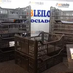 LOTE 252 - 10 CESTAS ORGANIZADORAS. (NO ESTADO) ATENÇÃO! FAZER A VISITAÇÃO ANTES DE ARREMATAR, NÃO SABEMOS SE FUNCIONA, LEILÃO NÃO TEM GARANTIA E NEM DEVOLUÇÃO, SUJEITO A POSSÍVEIS AVARIAS VISÍVEIS/OCULTAS E/OU AUSÊNCIA DE COMPONENTES.