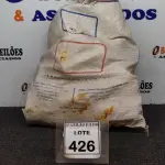 LOTE 426 - 01 LOTE COM VÁRIAS PEÇAS DE TÊ HIDRÁULICO DE MEDIDAS DIVERSAS. (NO ESTADO) ATENÇÃO! FAZER A VISITAÇÃO ANTES DE ARREMATAR, NÃO SABEMOS SE FUNCIONA, LEILÃO NÃO TEM GARANTIA E NEM DEVOLUÇÃO, SUJEITO A POSSÍVEIS AVARIAS VISÍVEIS/OCULTAS E/OU AUSÊNCIA DE COMPONENTES.