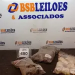 LOTE 450 - 06 PEÇAS DE LUVA DE CORRER 40MM, 10 NIPLE ROSCÁVEIS 1.1/2 E 20 TÊ DE REDUÇÃO 32X25MM. (NO ESTADO) ATENÇÃO! FAZER A VISITAÇÃO ANTES DE ARREMATAR, NÃO SABEMOS SE FUNCIONA, LEILÃO NÃO TEM GARANTIA E NEM DEVOLUÇÃO, SUJEITO A POSSÍVEIS AVARIAS VISÍVEIS/OCULTAS E/OU AUSÊNCIA DE COMPONENTES.