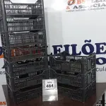 LOTE 464 - 10 CESTAS ORGANIZADORAS. (NO ESTADO) ATENÇÃO! FAZER A VISITAÇÃO ANTES DE ARREMATAR, NÃO SABEMOS SE FUNCIONA, LEILÃO NÃO TEM GARANTIA E NEM DEVOLUÇÃO, SUJEITO A POSSÍVEIS AVARIAS VISÍVEIS/OCULTAS E/OU AUSÊNCIA DE COMPONENTES.