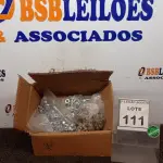 LOTE 111 - 01 LOTE COM GRANDE QUANTIDADE DE PARAFUSOS E PORCAS. (NO ESTADO) ATENÇÃO! FAZER A VISITAÇÃO ANTES DE ARREMATAR, NÃO SABEMOS SE FUNCIONA, LEILÃO NÃO TEM GARANTIA E NEM DEVOLUÇÃO, SUJEITO A POSSÍVEIS AVARIAS VISÍVEIS/OCULTAS E/OU AUSÊNCIA DE COMPONENTES.
