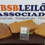LOTE 123 - 20 PEÇAS DE MADEIRA. (NO ESTADO) ATENÇÃO! FAZER A VISITAÇÃO ANTES DE ARREMATAR, NÃO SABEMOS SE FUNCIONA. LEILÃO NÃO TEM GARANTIA E NEM DEVOLUÇÃO, SUJEITO A POSSÍVEIS AVARIAS VISÍVEIS/OCULTAS E/OU AUSÊNCIA DE COMPONENTES.