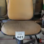 LOTE 441 - 01 CADEIRA DE ESCRITÓRIO COM RODINHAS. (NO ESTADO) ATENÇÃO! FAZER A VISITAÇÃO ANTES DE ARREMATAR, NÃO SABEMOS SE FUNCIONA. LEILÃO NÃO TEM GARANTIA E NEM DEVOLUÇÃO, SUJEITO A POSSÍVEIS AVARIAS VISÍVEIS/OCULTAS E/OU AUSÊNCIA DE COMPONENTES.