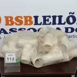 LOTE 113 - 01 LOTE COM CONEXÕES HIDRÁULICAS MEDIDAS DIVERSAS. (NO ESTADO) ATENÇÃO! FAZER A VISITAÇÃO ANTES DE ARREMATAR, NÃO SABEMOS SE FUNCIONA, LEILÃO NÃO TEM GARANTIA E NEM DEVOLUÇÃO, SUJEITO A POSSÍVEIS AVARIAS VISÍVEIS/OCULTAS E/OU AUSÊNCIA DE COMPONENTES.