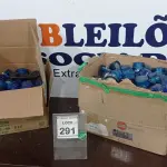 LOTE 291 - 01 LOTE COM GRANDE QUANTIDADE DE RELÉ FOTOELÉTRICO. (NO ESTADO) ATENÇÃO! FAZER A VISITAÇÃO ANTES DE ARREMATAR, NÃO SABEMOS SE FUNCIONA. LEILÃO NÃO TEM GARANTIA E NEM DEVOLUÇÃO, SUJEITO A POSSÍVEIS AVARIAS VISÍVEIS/OCULTAS E/OU AUSÊNCIA DE COMPONENTES.