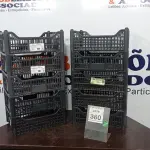 LOTE 380 - 10 CESTAS ORGANIZADORAS. (NO ESTADO) ATENÇÃO! FAZER A VISITAÇÃO ANTES DE ARREMATAR, NÃO SABEMOS SE FUNCIONA. LEILÃO NÃO TEM GARANTIA E NEM DEVOLUÇÃO, SUJEITO A POSSÍVEIS AVARIAS VISÍVEIS/OCULTAS E/OU AUSÊNCIA DE COMPONENTES.