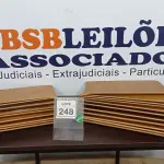 LOTE 248 - 20 PEÇAS DE MADEIRA. (NO ESTADO) ATENÇÃO! FAZER A VISITAÇÃO ANTES DE ARREMATAR, NÃO SABEMOS SE FUNCIONA. LEILÃO NÃO TEM GARANTIA E NEM DEVOLUÇÃO, SUJEITO A POSSÍVEIS AVARIAS VISÍVEIS/OCULTAS E/OU AUSÊNCIA DE COMPONENTES.