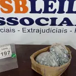 LOTE 197 - 01 LOTE COM GRANDE QUANTIDADE DE PARAFUSOS E PORCAS. (NO ESTADO) ATENÇÃO! FAZER A VISITAÇÃO ANTES DE ARREMATAR, NÃO SABEMOS SE FUNCIONA. LEILÃO NÃO TEM GARANTIA E NEM DEVOLUÇÃO, SUJEITO A POSSÍVEIS AVARIAS VISÍVEIS/OCULTAS E/OU AUSÊNCIA DE COMPONENTES.