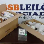 LOTE 292 - 01 LOTE COM GRANDE QUANTIDADE DE LÂMPADAS DE MERCÚRIO 400W MARCA OSRAM. (NO ESTADO) ATENÇÃO! FAZER A VISITAÇÃO ANTES DE ARREMATAR, NÃO SABEMOS SE FUNCIONA. LEILÃO NÃO TEM GARANTIA E NEM DEVOLUÇÃO, SUJEITO A POSSÍVEIS AVARIAS VISÍVEIS/OCULTAS E/OU AUSÊNCIA DE COMPONENTES.