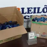 LOTE 291 - 01 LOTE COM GRANDE QUANTIDADE DE RELÉ FOTOELÉTRICO. (NO ESTADO) ATENÇÃO! FAZER A VISITAÇÃO ANTES DE ARREMATAR, NÃO SABEMOS SE FUNCIONA. LEILÃO NÃO TEM GARANTIA E NEM DEVOLUÇÃO, SUJEITO A POSSÍVEIS AVARIAS VISÍVEIS/OCULTAS E/OU AUSÊNCIA DE COMPONENTES.