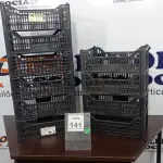 LOTE 141 - 10 CESTAS ORGANIZADORAS. (NO ESTADO) ATENÇÃO! FAZER A VISITAÇÃO ANTES DE ARREMATAR, NÃO SABEMOS SE FUNCIONA. LEILÃO NÃO TEM GARANTIA E NEM DEVOLUÇÃO, SUJEITO A POSSÍVEIS AVARIAS VISÍVEIS/OCULTAS E/OU AUSÊNCIA DE COMPONENTES.