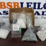 LOTE 151 - 01 LOTE COM GRANDE QUANTIDADE DE BUCHAS DE FIXAÇÃO E ISOLADORES TIPO ROLDANA. (NO ESTADO) ATENÇÃO! FAZER A VISITAÇÃO ANTES DE ARREMATAR, NÃO SABEMOS SE FUNCIONA, LEILÃO NÃO TEM GARANTIA E NEM DEVOLUÇÃO, SUJEITO A POSSÍVEIS AVARIAS VISÍVEIS/OCULTAS E/OU AUSÊNCIA DE COMPONENTES.