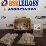LOTE 128 - 01 LOTE COM GRANDE DE PARAFUSOS. (NO ESTADO) ATENÇÃO! FAZER A VISITAÇÃO ANTES DE ARREMATAR, NÃO SABEMOS SE FUNCIONA, LEILÃO NÃO TEM GARANTIA E NEM DEVOLUÇÃO, SUJEITO A POSSÍVEIS AVARIAS VISÍVEIS/OCULTAS E/OU AUSÊNCIA DE COMPONENTES.