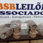 LOTE 443 - 01 LOTE COM VÁRIAS LUVAS DE REDUÇÃO DE 110X75. (NO ESTADO) ATENÇÃO! FAZER A VISITAÇÃO ANTES DE ARREMATAR, NÃO SABEMOS SE FUNCIONA. LEILÃO NÃO TEM GARANTIA E NEM DEVOLUÇÃO, SUJEITO A POSSÍVEIS AVARIAS VISÍVEIS/OCULTAS E/OU AUSÊNCIA DE COMPONENTES.