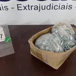 LOTE 197 - 01 LOTE COM GRANDE QUANTIDADE DE PARAFUSOS E PORCAS. (NO ESTADO) ATENÇÃO! FAZER A VISITAÇÃO ANTES DE ARREMATAR, NÃO SABEMOS SE FUNCIONA. LEILÃO NÃO TEM GARANTIA E NEM DEVOLUÇÃO, SUJEITO A POSSÍVEIS AVARIAS VISÍVEIS/OCULTAS E/OU AUSÊNCIA DE COMPONENTES.