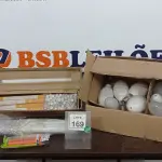 LOTE 169 - 01 LOTE COM GRANDE QUANTIDADE DE LÂMPADAS DE MARCAS E MODELOS VARIADOS. (NO ESTADO) ATENÇÃO! FAZER A VISITAÇÃO ANTES DE ARREMATAR, NÃO SABEMOS SE FUNCIONA. LEILÃO NÃO TEM GARANTIA E NEM DEVOLUÇÃO, SUJEITO A POSSÍVEIS AVARIAS VISÍVEIS/OCULTAS E/OU AUSÊNCIA DE COMPONENTES.