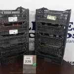 LOTE 336 - 10 CESTAS ORGANIZADORAS. (NO ESTADO) ATENÇÃO! FAZER A VISITAÇÃO ANTES DE ARREMATAR, NÃO SABEMOS SE FUNCIONA. LEILÃO NÃO TEM GARANTIA E NEM DEVOLUÇÃO, SUJEITO A POSSÍVEIS AVARIAS VISÍVEIS/OCULTAS E/OU AUSÊNCIA DE COMPONENTES.