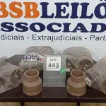 LOTE 443 - 01 LOTE COM VÁRIAS LUVAS DE REDUÇÃO DE 110X75. (NO ESTADO) ATENÇÃO! FAZER A VISITAÇÃO ANTES DE ARREMATAR, NÃO SABEMOS SE FUNCIONA. LEILÃO NÃO TEM GARANTIA E NEM DEVOLUÇÃO, SUJEITO A POSSÍVEIS AVARIAS VISÍVEIS/OCULTAS E/OU AUSÊNCIA DE COMPONENTES.