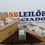 LOTE 292 - 01 LOTE COM GRANDE QUANTIDADE DE LÂMPADAS DE MERCÚRIO 400W MARCA OSRAM. (NO ESTADO) ATENÇÃO! FAZER A VISITAÇÃO ANTES DE ARREMATAR, NÃO SABEMOS SE FUNCIONA. LEILÃO NÃO TEM GARANTIA E NEM DEVOLUÇÃO, SUJEITO A POSSÍVEIS AVARIAS VISÍVEIS/OCULTAS E/OU AUSÊNCIA DE COMPONENTES.
