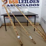 LOTE 170 - 20 VARAS DE BAMBU. (NO ESTADO) ATENÇÃO! FAZER A VISITAÇÃO ANTES DE ARREMATAR, NÃO SABEMOS SE FUNCIONA. LEILÃO NÃO TEM GARANTIA E NEM DEVOLUÇÃO, SUJEITO A POSSÍVEIS AVARIAS VISÍVEIS/OCULTAS E/OU AUSÊNCIA DE COMPONENTES.