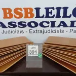LOTE 391 - 20 PEÇAS DE MADEIRA. (NO ESTADO) ATENÇÃO! FAZER A VISITAÇÃO ANTES DE ARREMATAR, NÃO SABEMOS SE FUNCIONA. LEILÃO NÃO TEM GARANTIA E NEM DEVOLUÇÃO, SUJEITO A POSSÍVEIS AVARIAS VISÍVEIS/OCULTAS E/OU AUSÊNCIA DE COMPONENTES.