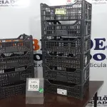 LOTE 156 - 10 CESTAS ORGANIZADORAS. (NO ESTADO) ATENÇÃO! FAZER A VISITAÇÃO ANTES DE ARREMATAR, NÃO SABEMOS SE FUNCIONA. LEILÃO NÃO TEM GARANTIA E NEM DEVOLUÇÃO, SUJEITO A POSSÍVEIS AVARIAS VISÍVEIS/OCULTAS E/OU AUSÊNCIA DE COMPONENTES.