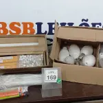 LOTE 169 - 01 LOTE COM GRANDE QUANTIDADE DE LÂMPADAS DE MARCAS E MODELOS VARIADOS. (NO ESTADO) ATENÇÃO! FAZER A VISITAÇÃO ANTES DE ARREMATAR, NÃO SABEMOS SE FUNCIONA. LEILÃO NÃO TEM GARANTIA E NEM DEVOLUÇÃO, SUJEITO A POSSÍVEIS AVARIAS VISÍVEIS/OCULTAS E/OU AUSÊNCIA DE COMPONENTES.