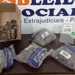 LOTE 209 - 01 LOTE COM GRANDE QUANTIDADE DE JOELHOS HIDRÁULICOS 90-40MM. (NO ESTADO) ATENÇÃO! FAZER A VISITAÇÃO ANTES DE ARREMATAR, NÃO SABEMOS SE FUNCIONA. LEILÃO NÃO TEM GARANTIA E NEM DEVOLUÇÃO, SUJEITO A POSSÍVEIS AVARIAS VISÍVEIS/OCULTAS E/OU AUSÊNCIA DE COMPONENTES.