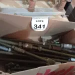 LOTE 341 - 01 LOTE COM VÁRIAS HASTES ROSQUEADAS. (NO ESTADO) ATENÇÃO! FAZER A VISITAÇÃO ANTES DE ARREMATAR, NÃO SABEMOS SE FUNCIONA. LEILÃO NÃO TEM GARANTIA E NEM DEVOLUÇÃO, SUJEITO A POSSÍVEIS AVARIAS VISÍVEIS/OCULTAS E/OU AUSÊNCIA DE COMPONENTES.