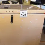 LOTE 125 - 01 CAIXA TÉRMICA. (NO ESTADO) ATENÇÃO! FAZER A VISITAÇÃO ANTES DE ARREMATAR, NÃO SABEMOS SE FUNCIONA, LEILÃO NÃO TEM GARANTIA E NEM DEVOLUÇÃO, SUJEITO A POSSÍVEIS AVARIAS VISÍVEIS/OCULTAS E/OU AUSÊNCIA DE COMPONENTES.